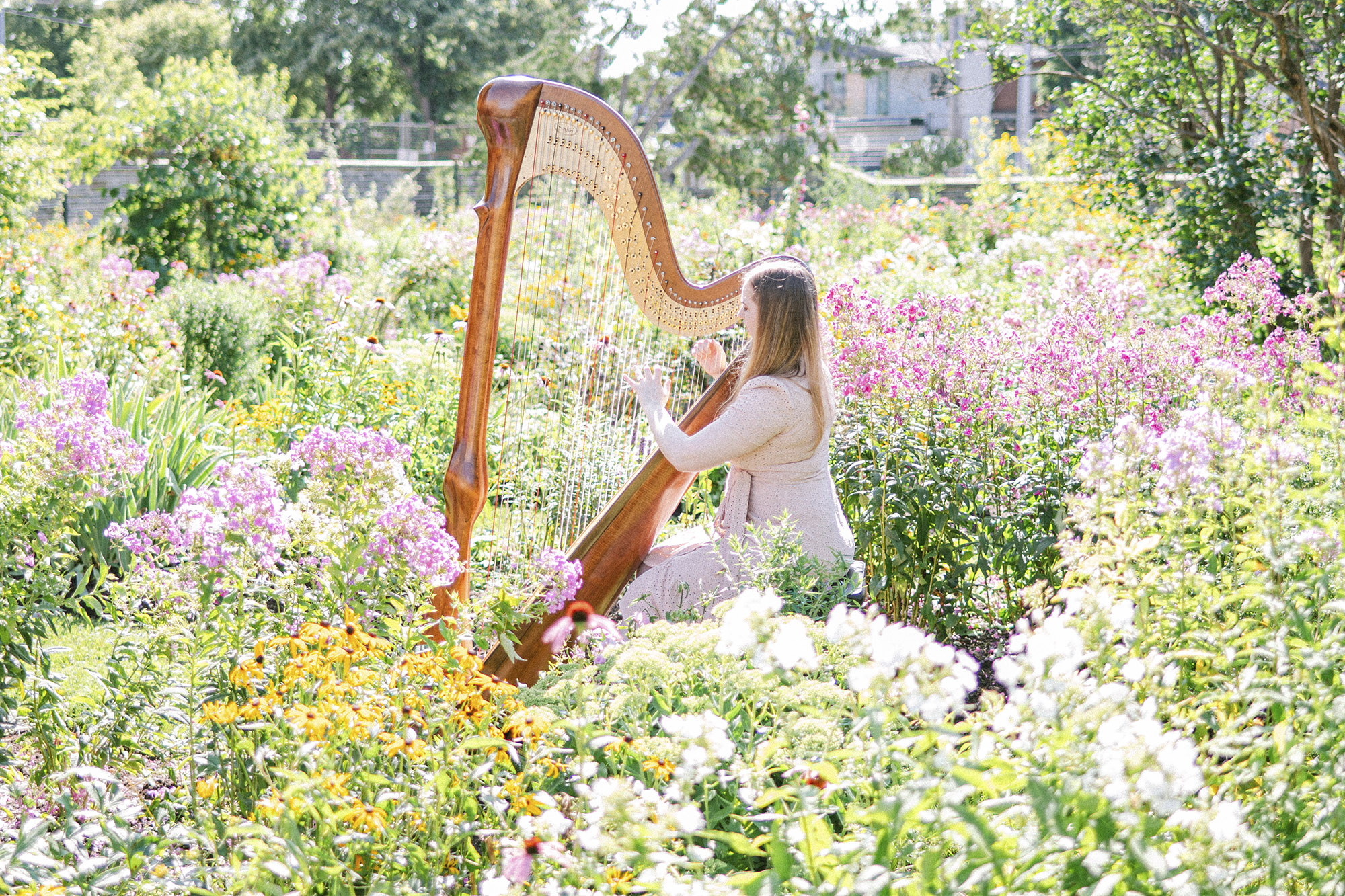 Hannah Warren - Ottawa based Wedding and Event Harpist